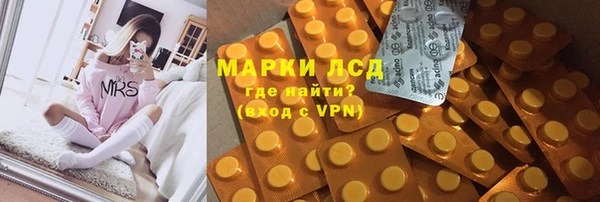 стаф Покровск