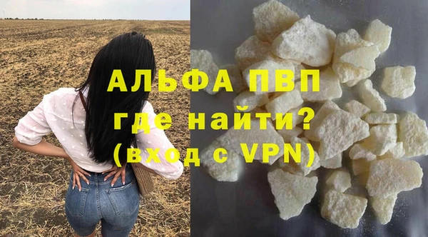стафф Белокуриха